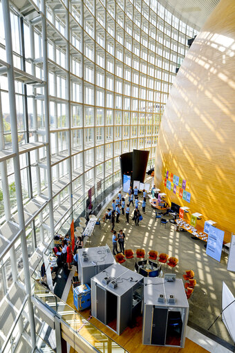 Fotogrāfija 14: Open Day of the European institutions 2017 - Strasbourg -   Animation photo