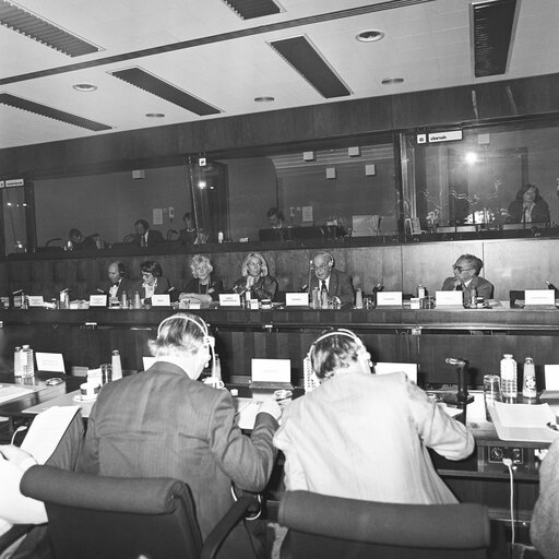 Meeting of the Committee on Youth, Culture, Information and Sport