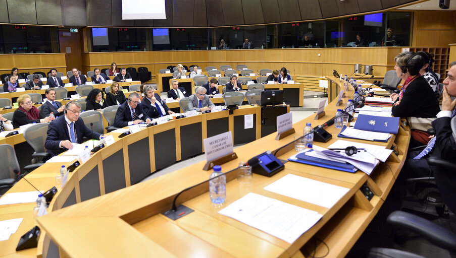 24th meeting of the EU-Chile Joint Parliamentary committee - Opening session