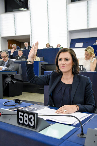 Fotogrāfija 7: Elisabeth KOSTINGER in plenary session Week 24  2017 in Strasbourg