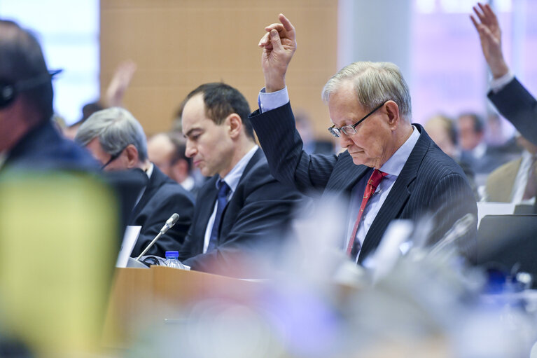 Photo 7 : AFET committee meeting - Vote on the Report on the 2016 Commission Report on Bosnia and Herzegovina - Vote on the Report on the 2016 Commission Report on Albania.