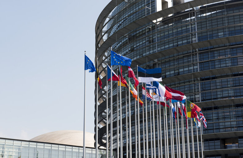 Flags in the European Parliament in Strasbourg