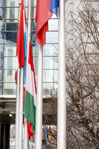 Fotografie 7: Hungarian flag at half-mast at the European Parliament in Brussels