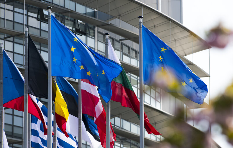 Fotografija 27: Flags in the European Parliament in Strasbourg