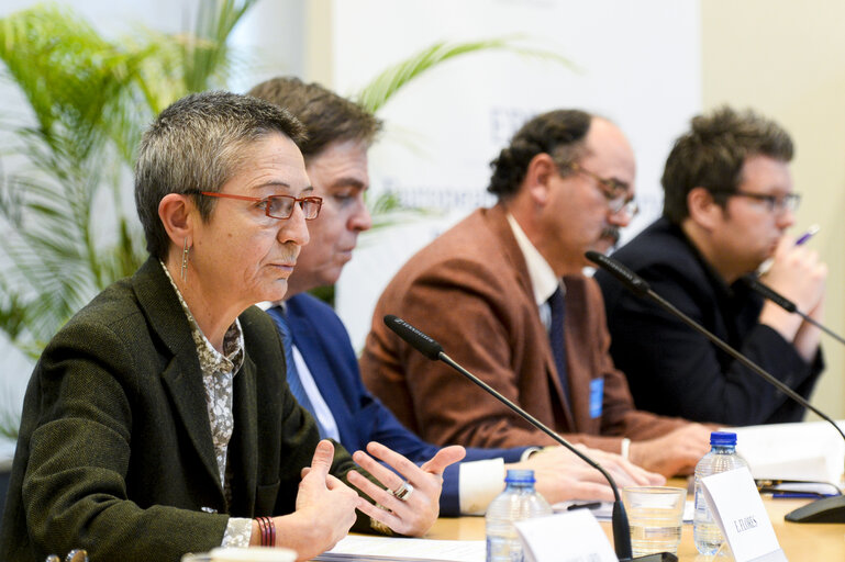 EPRS - EP-EUI Policy Roundtable: Global Economic governance: what role for the EU ?