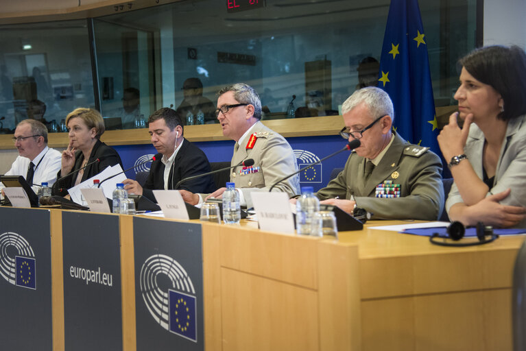 Foto 7: AFET/SEDE Exchange of views on the security situation in the Western Balkans