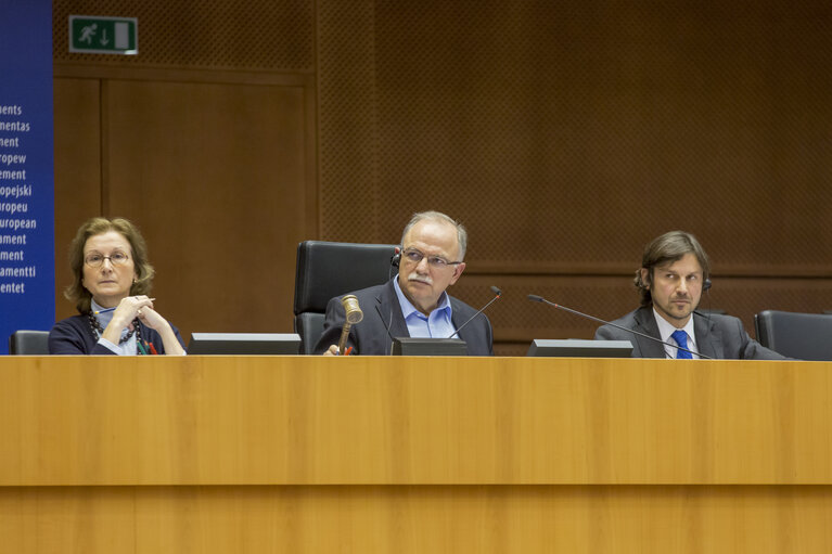 Φωτογραφία 20: Plenary session Week 9 2017 in Brussels