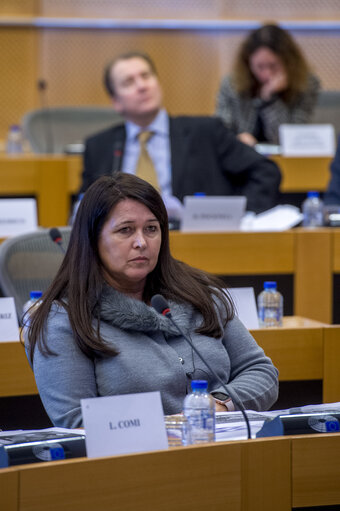 Foto 5: IMCO - Public hearing on European Standards for the 21st Century