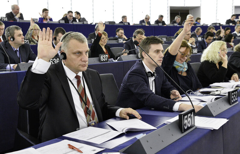 Peter KOUROUMBASHEV in plenary session Week 7 2017 in Strasbourg