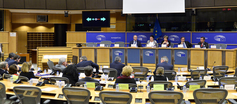 Fotografie 9: 24th meeting of the EU-Chile Joint Parliamentary committee - Opening session