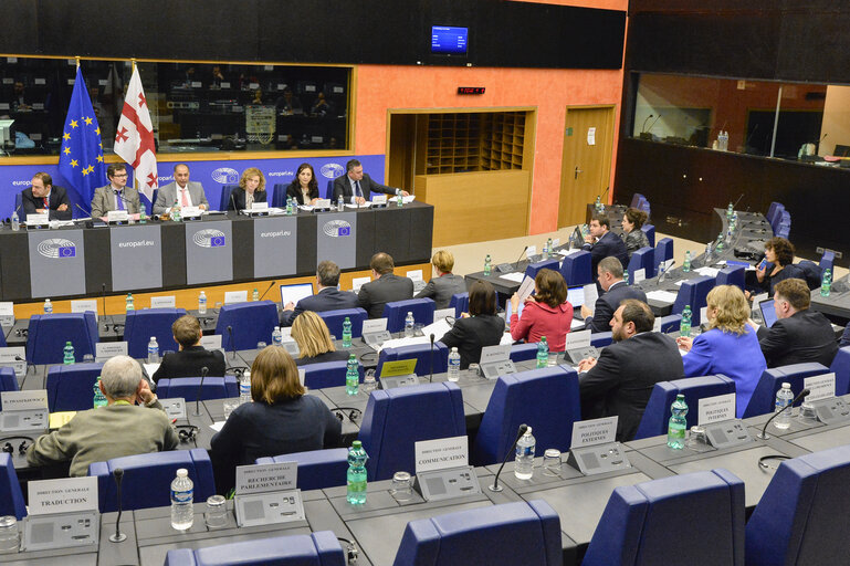 4th EU-Georgia Parliamentary Association Committee (PAC)