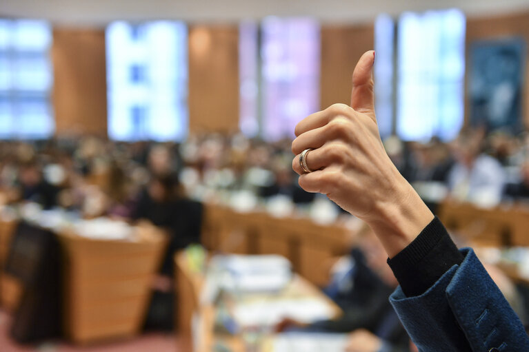 Photo 8 : AFET committee meeting - Vote on the Report on the 2016 Commission Report on Bosnia and Herzegovina - Vote on the Report on the 2016 Commission Report on Albania.