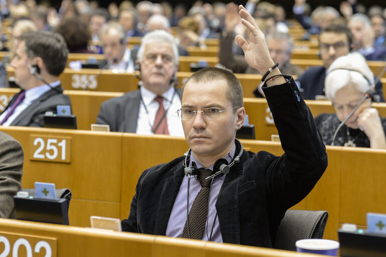 Photo 7: Plenary session in Brussels - Week 05  2017Cross-border aspects of adoptions