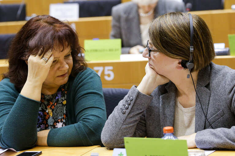 Foto 2: Joint LIBE CONT meeting - Julia PITERA and Barbara KUDRYCKA voting