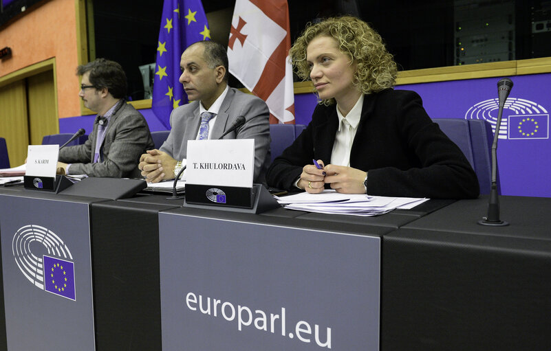 Photo 10 : 4th EU-Georgia Parliamentary Association Committee (PAC)