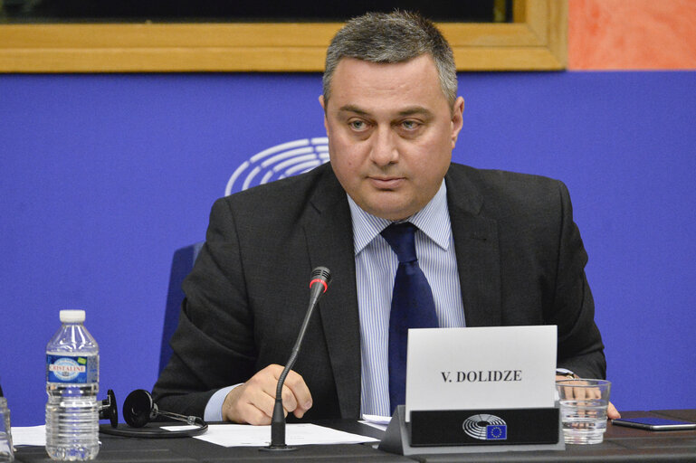 4th EU-Georgia Parliamentary Association Committee (PAC)