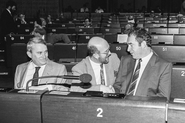 Foto 3: The Irish Minister of State of the Department of Agriculture and Food, in plenary session in Strasbourg - March 1990