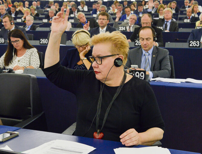 Zdjęcie 5: Sirpa PIETIKAINEN voting in plenary session Week 24 2017 in Strasbourg