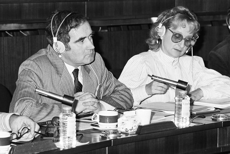 Irish MEP Gene FITZGERALD with guests in Strasbourg in November 1985