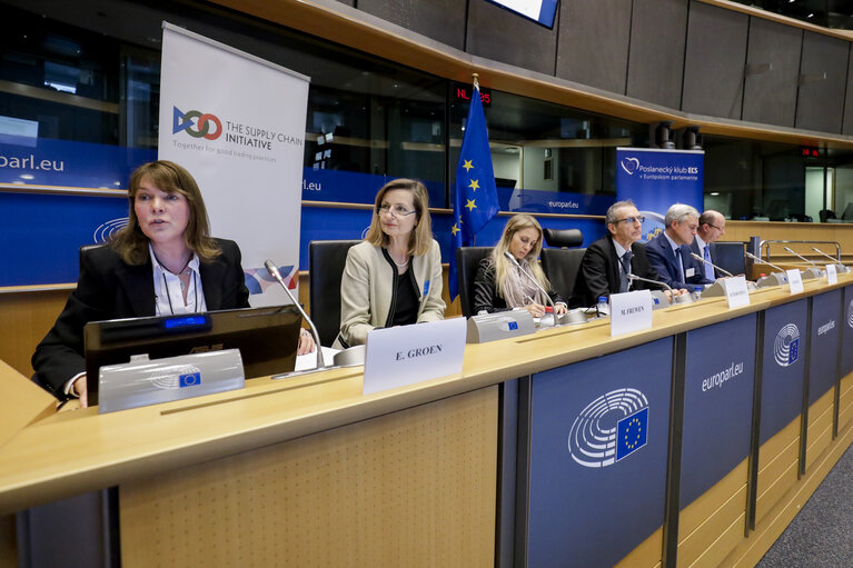 Foto 11: Supply Chain Initiative: Progress and Next Steps - Annual event