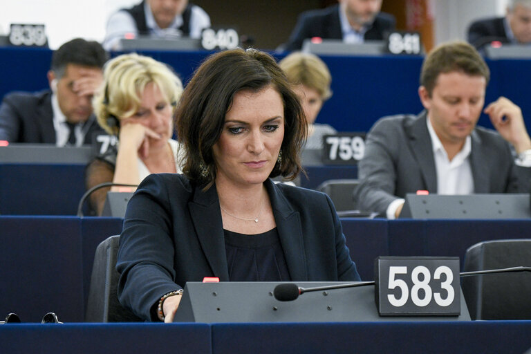 Fotogrāfija 1: Elisabeth KOSTINGER in plenary session Week 24  2017 in Strasbourg