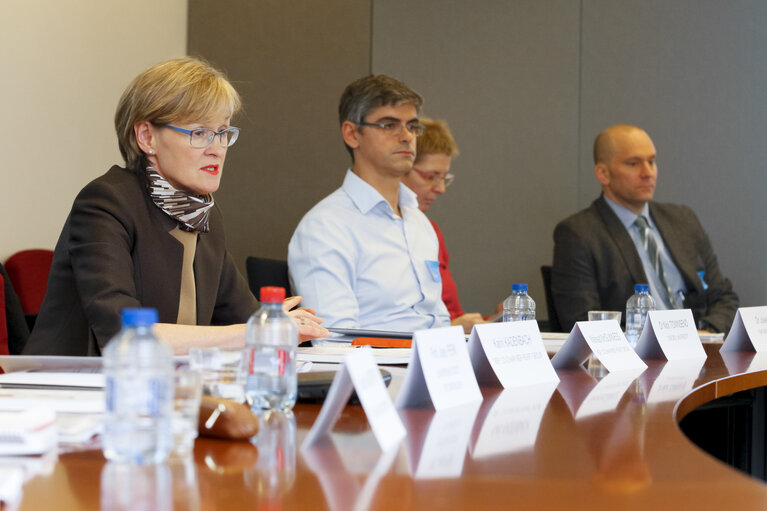 Foto 8: Meeting of the MEP Heart Group - ' Why cardiovascular health matters '