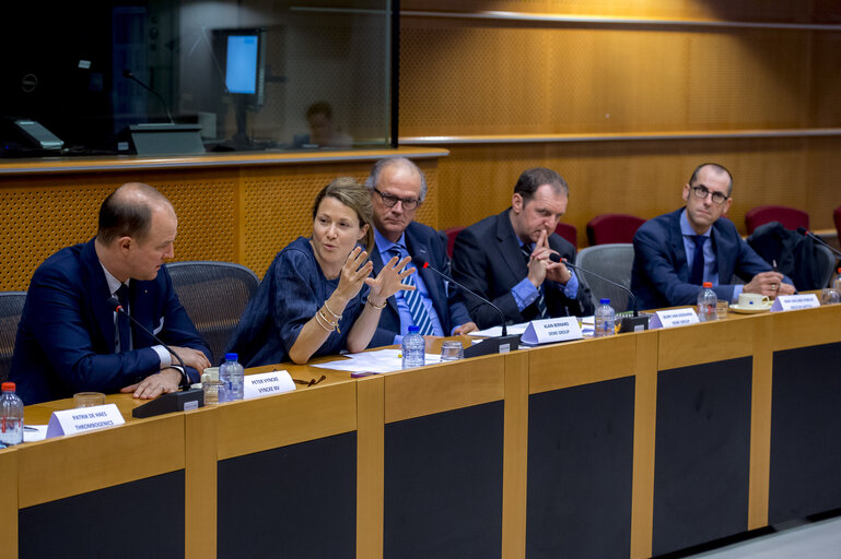 Fotografija 15: Hearing with the input of SME's and large firms: ' Interim evaluation on H2020 '