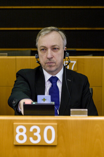 Photo 39: Plenary session in Brussels - Week 05  2017Votes and explanations of votes