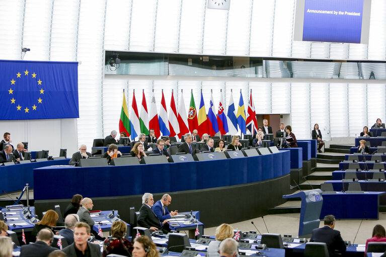 Photo 6: Plenary session Week 3 2017 in Strasbourg - Central African Republic