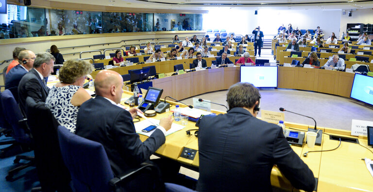 Photo 15: CULT committee meeting - Presentation of the European Solidarity Corps proposal by the Commission.