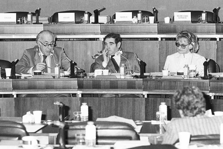 Irish MEP Gene FITZGERALD with guests in Strasbourg in November 1985