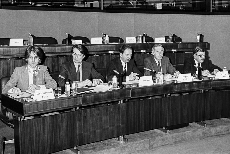 Fotografija 2: Meeting at the EP in Strasbourg in January 1985