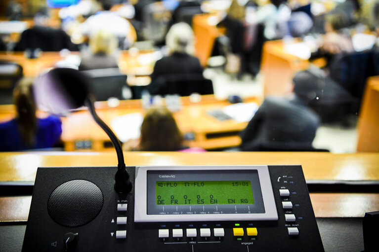 Снимка 3: Stockshot of interpreter in the European Parliament