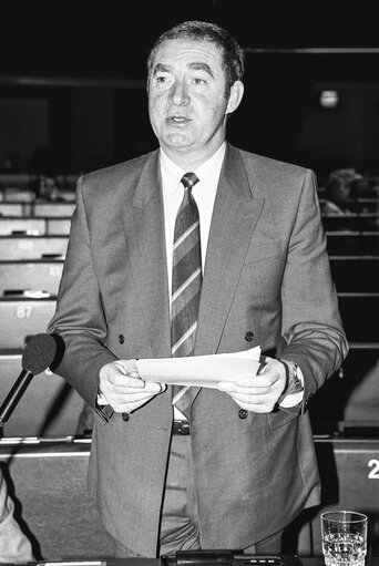 The Irish Minister of State of the Department of Agriculture and Food, in plenary session in Strasbourg - March 1990