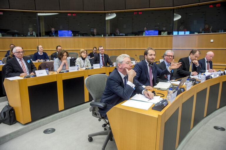 Fotografie 27: IMCO - Public hearing on European Standards for the 21st Century