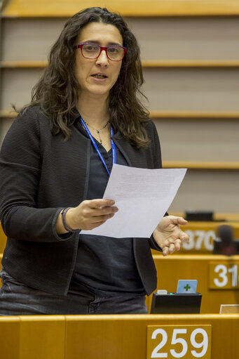 Photo 22 : Plenary session Week 9 2017 in Brussels