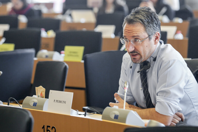 Foto 5: ENVI committee meting