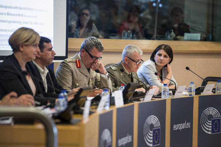 Foto 1: AFET/SEDE Exchange of views on the security situation in the Western Balkans