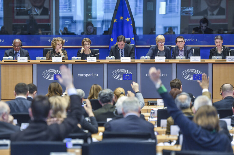 Photo 2 : AFET committee meeting - Vote on the Report on the 2016 Commission Report on Bosnia and Herzegovina - Vote on the Report on the 2016 Commission Report on Albania.