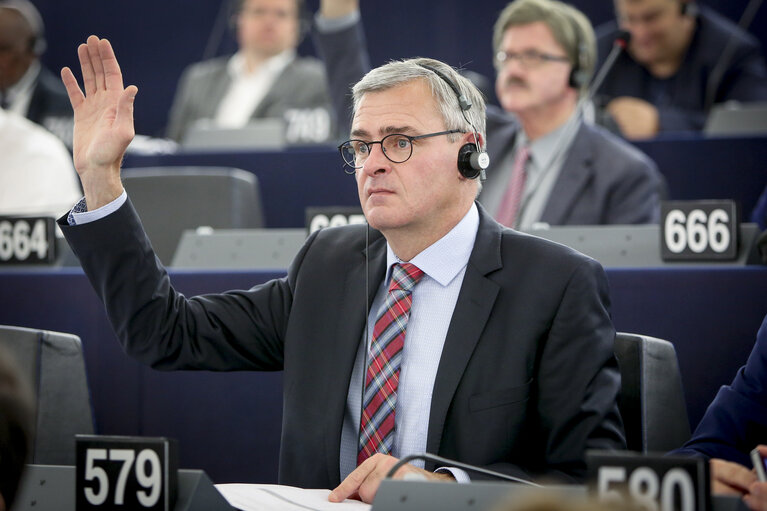 Photo 7: Marc JOULAUD in plenary session Week 20 2017 in Strasbourg