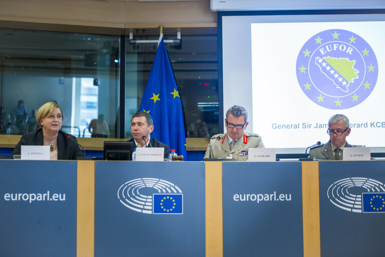 Foto 10: AFET/SEDE Exchange of views on the security situation in the Western Balkans