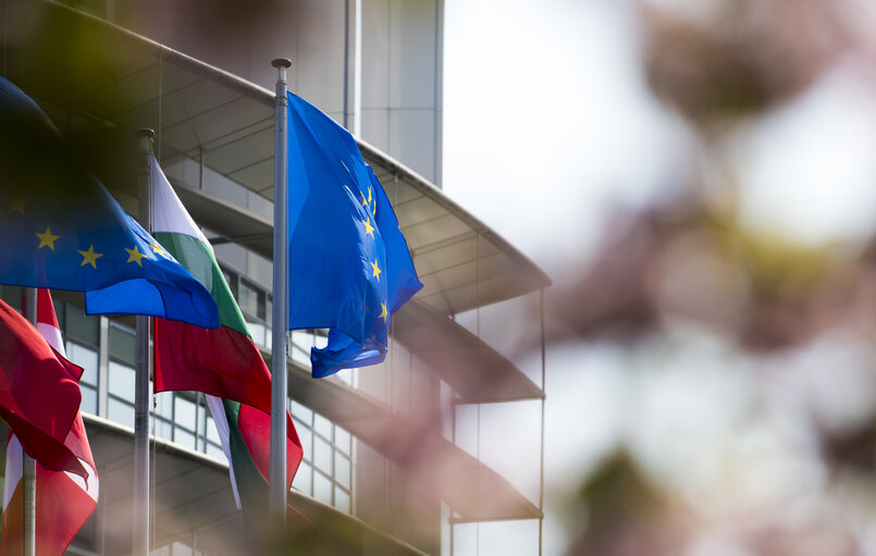Fotografija 26: Flags in the European Parliament in Strasbourg