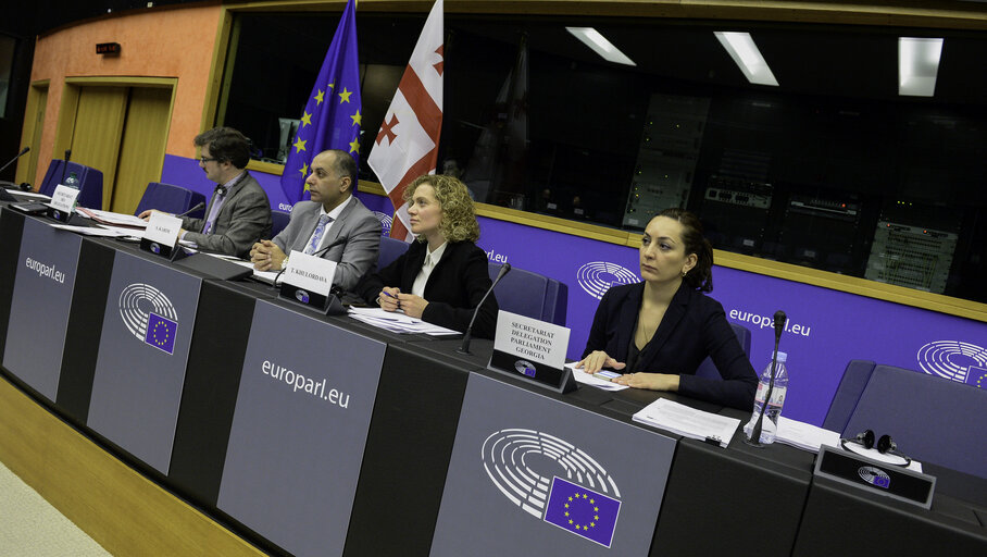 Photo 11 : 4th EU-Georgia Parliamentary Association Committee (PAC)