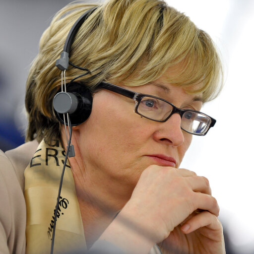 Φωτογραφία 24: Plenary Session Week 16 2012Delimitation of Less-Favoured Areas in the context of the reform of the CAP