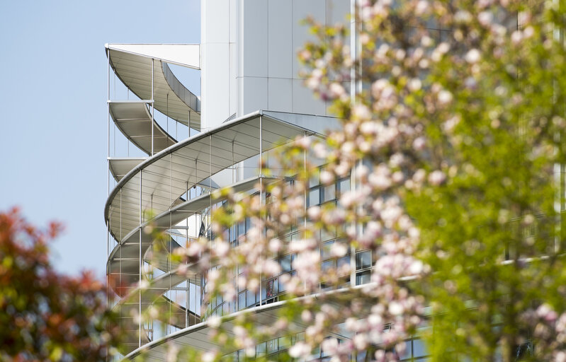 Fotografija 20: Flags in the European Parliament in Strasbourg