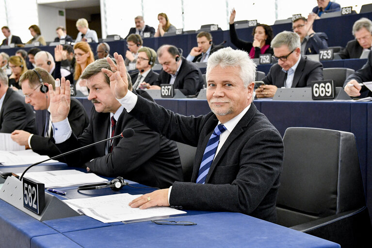 Fotografia 3: Dieter KOCH in plenary session week 11 2017 in Strasbourg