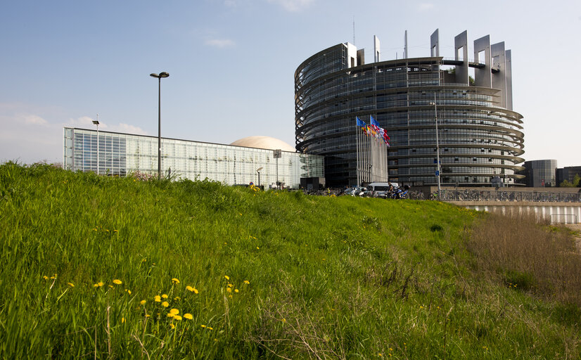 Fotografija 11: Flags in the European Parliament in Strasbourg