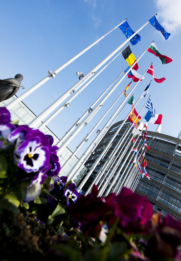 Fotografija 5: Flags in the European Parliament in Strasbourg