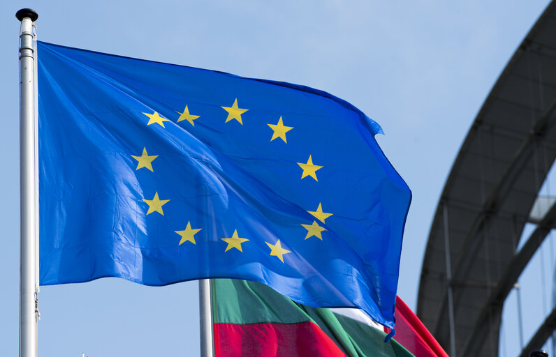 Fotografija 8: Flags in the European Parliament in Strasbourg