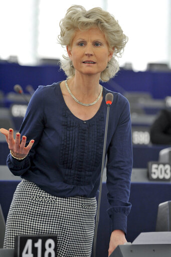 Φωτογραφία 14: Plenary Session Week 16 2012Delimitation of Less-Favoured Areas in the context of the reform of the CAP